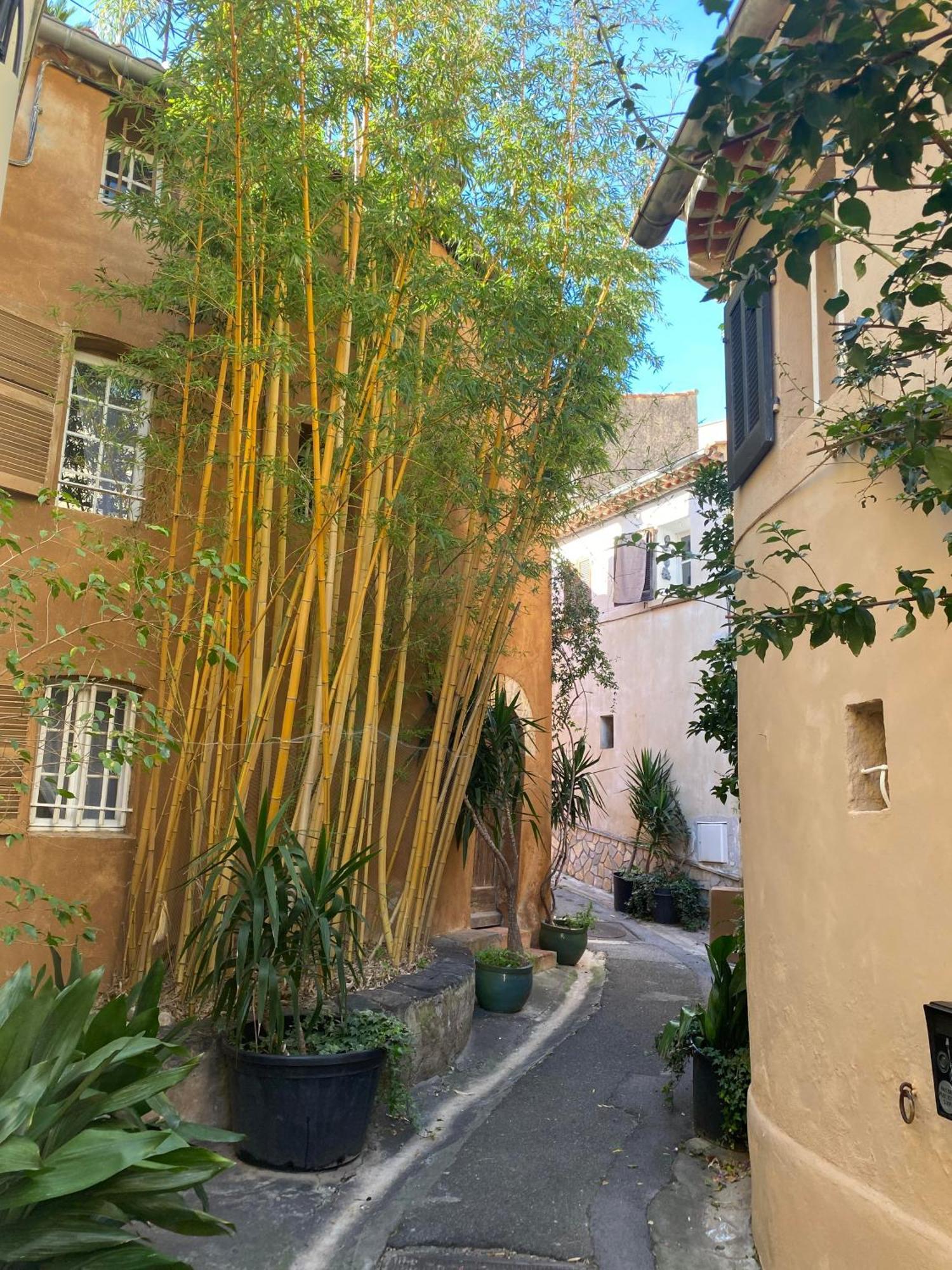 Spacieux Duplex, Vue Mer Et Belle Terrasse Hyères Zewnętrze zdjęcie